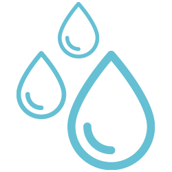 The Water We Drink